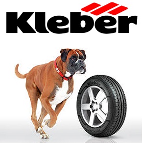 KLEBER Team