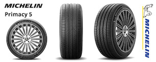 MICHELIN TEAM PRIMACY 5